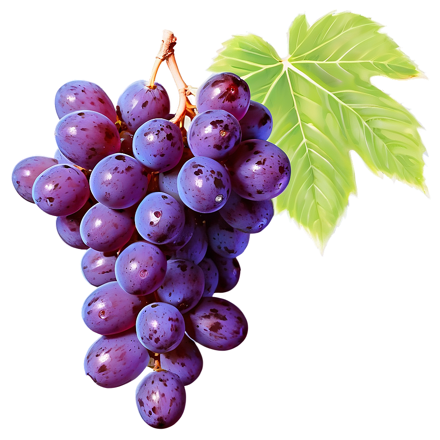 Fresh Grape Cluster Png 39