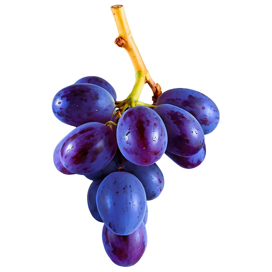 Fresh Grape Image Png 42