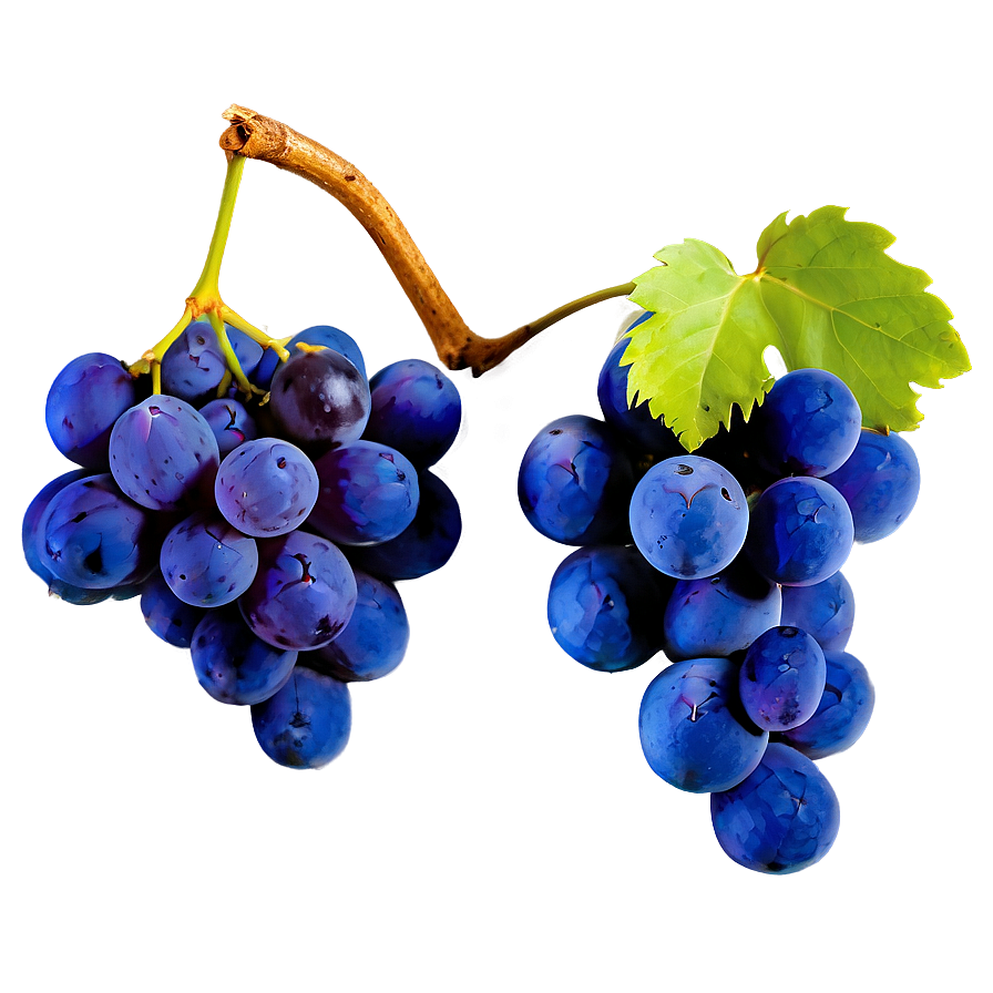 Fresh Grapes Png Upi99