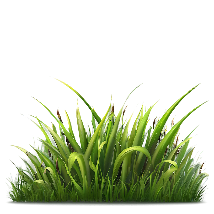 Fresh Grass Clipart Png 06272024