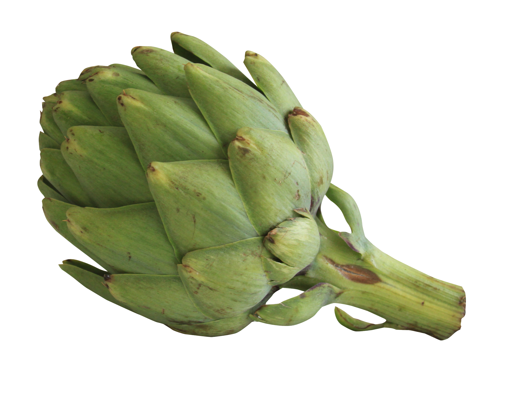 Fresh Green Artichoke.png