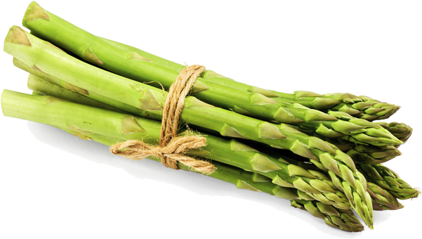 Fresh Green Asparagus Bundle