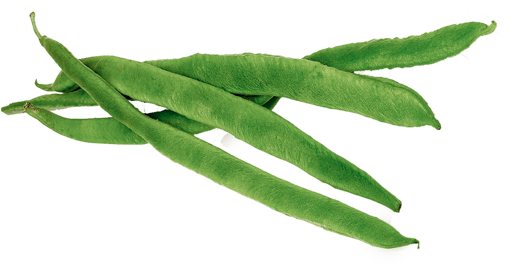 Runner Beans - Green Beans Clipart Png, Transparent Png PNG with transparent background