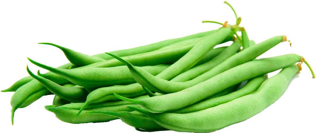 Green Beans Transparent - Green Beans Transparent Background, HD Png Download PNG with transparent background
