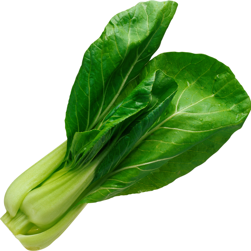 Pak Choy - Spinach Vegetable Png, Transparent Png PNG with transparent background