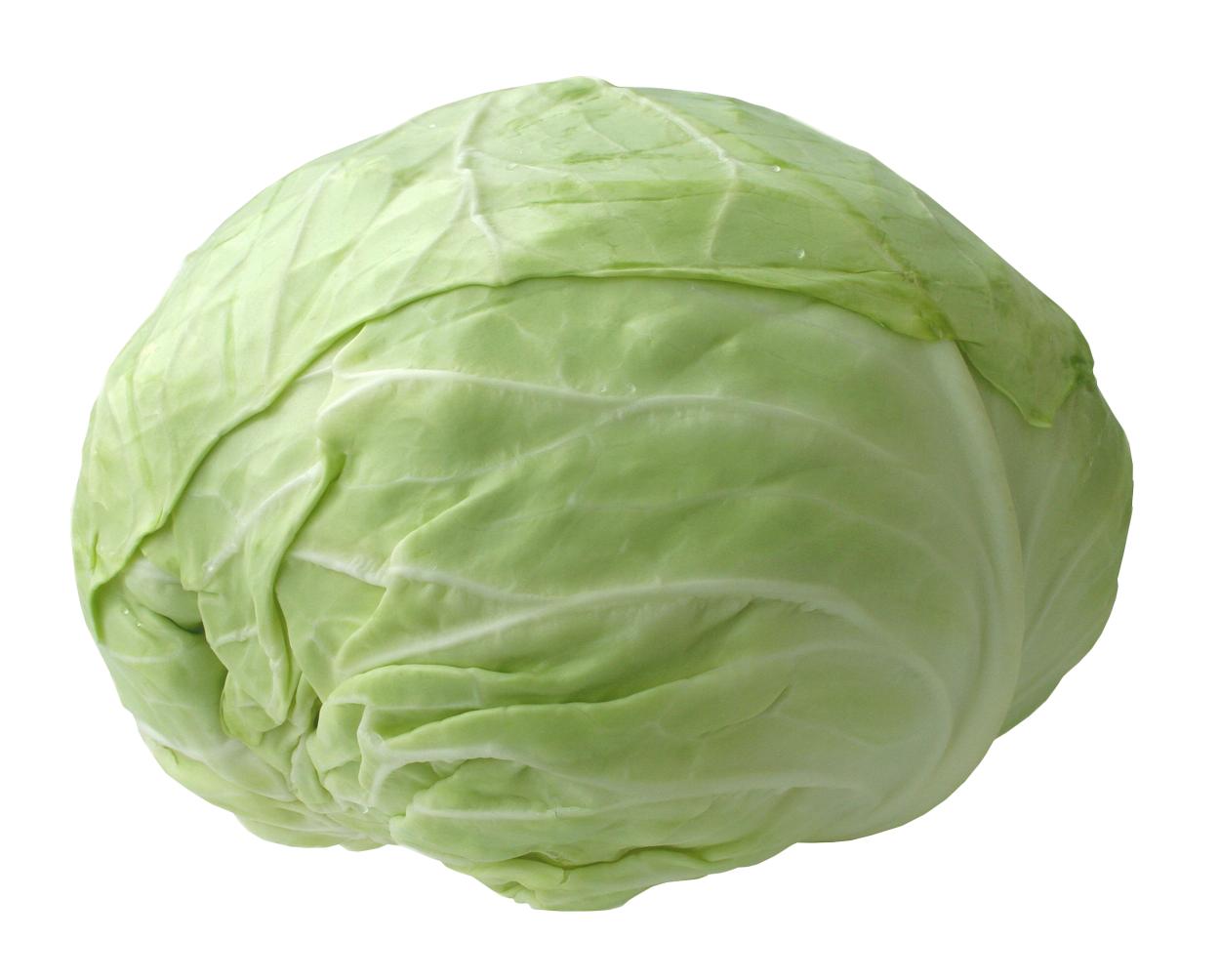 Fresh Green Cabbage