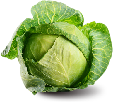 Fresh Green Cabbage.png