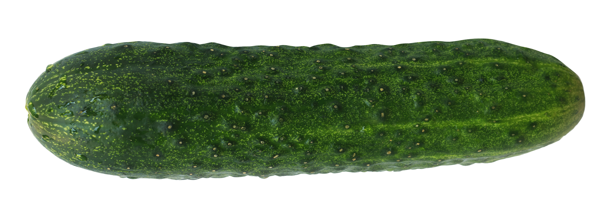 Fresh Green Cucumber PNG with transparent background