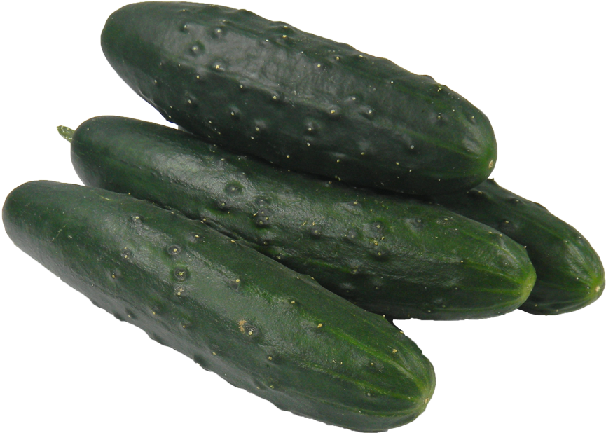 Pickled Cucumber Vegetable Spreewald Gherkins - Cucumber, HD Png Download PNG with transparent background