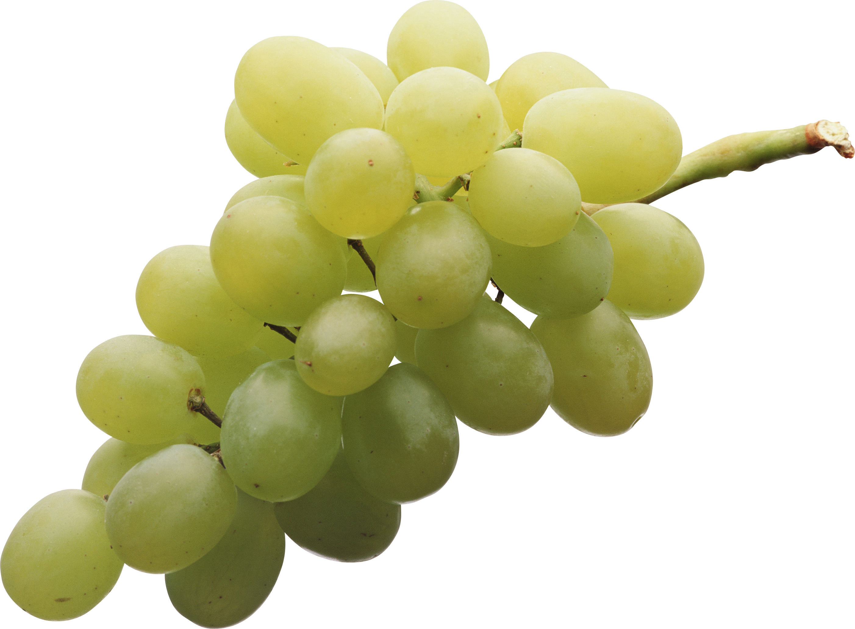 Fresh Green Grape Cluster.png