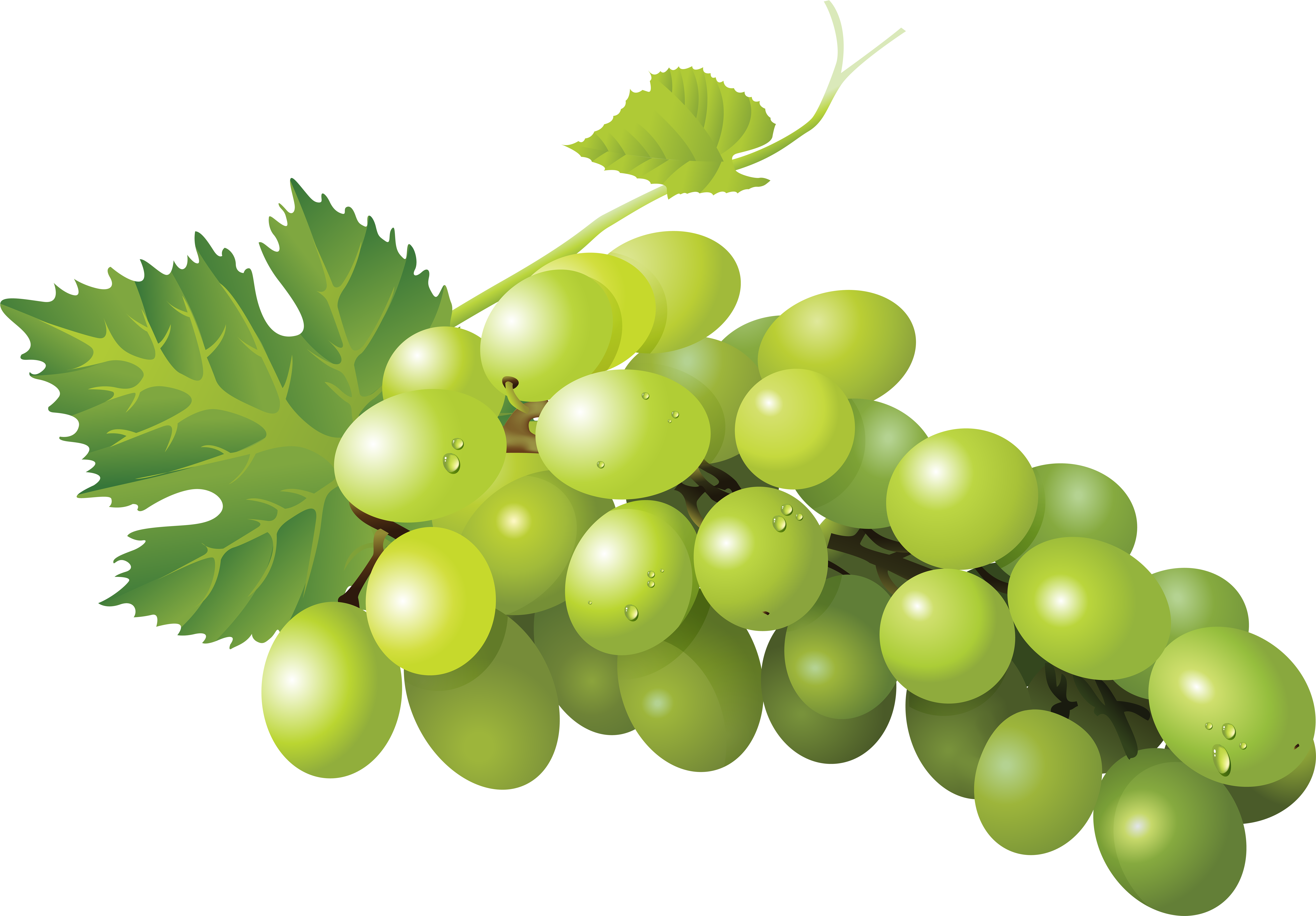 Sultana Grape Zante Currant Seedless Fruit Sauvignon - Green Grape Png, Transparent Png PNG with transparent background