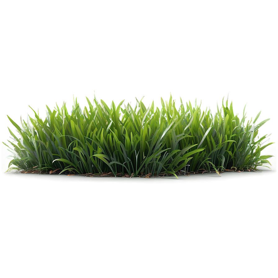 Fresh Green Grass Png 06262024