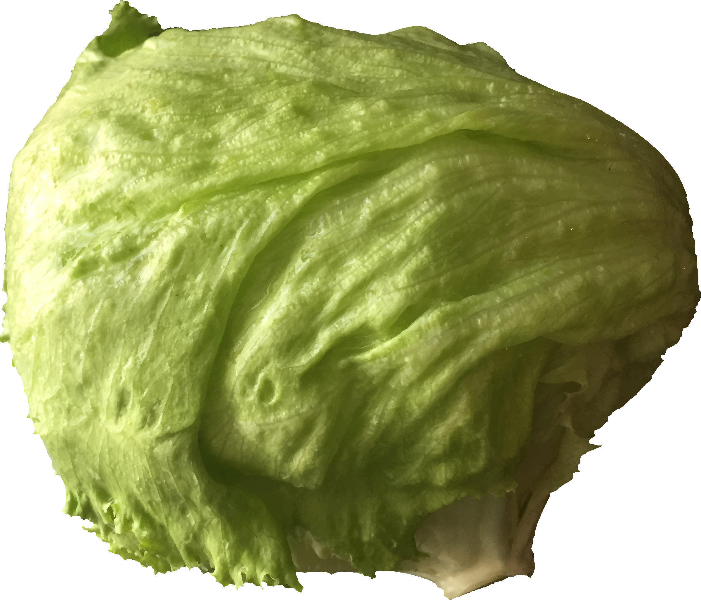 Transparent Cabbage Clipart - Clipart Image Of Lettuce, HD Png Download PNG with transparent background