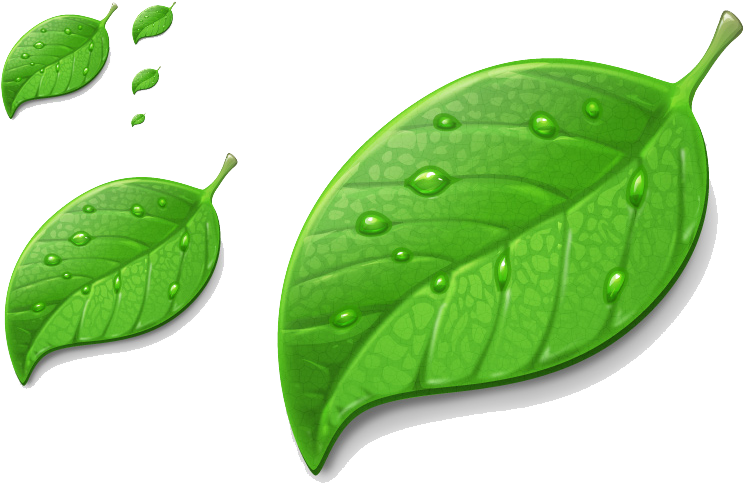 Plant - Hartalika Teej Png, Transparent Png PNG with transparent background