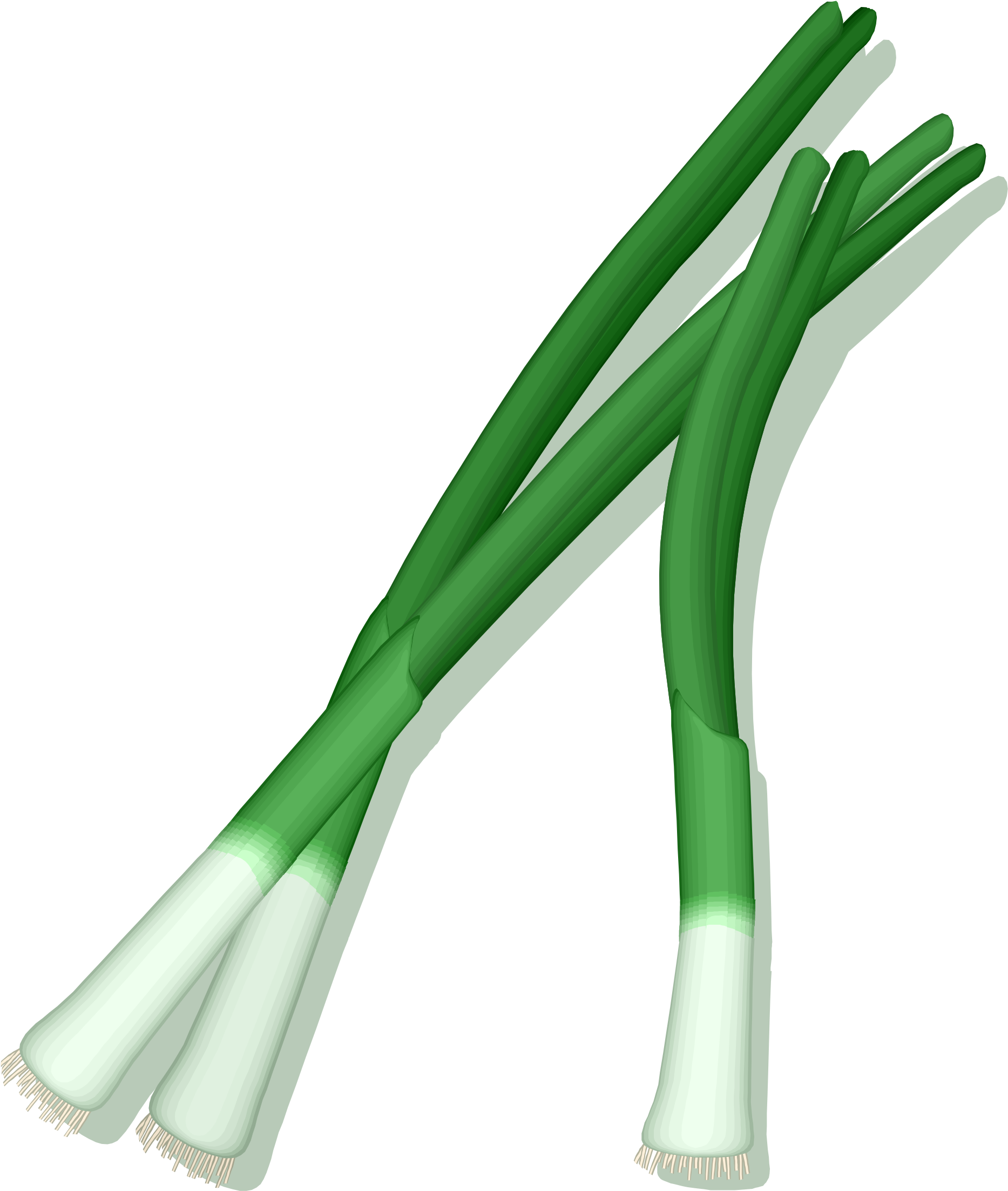 Fresh Green Leeks Illustration.png