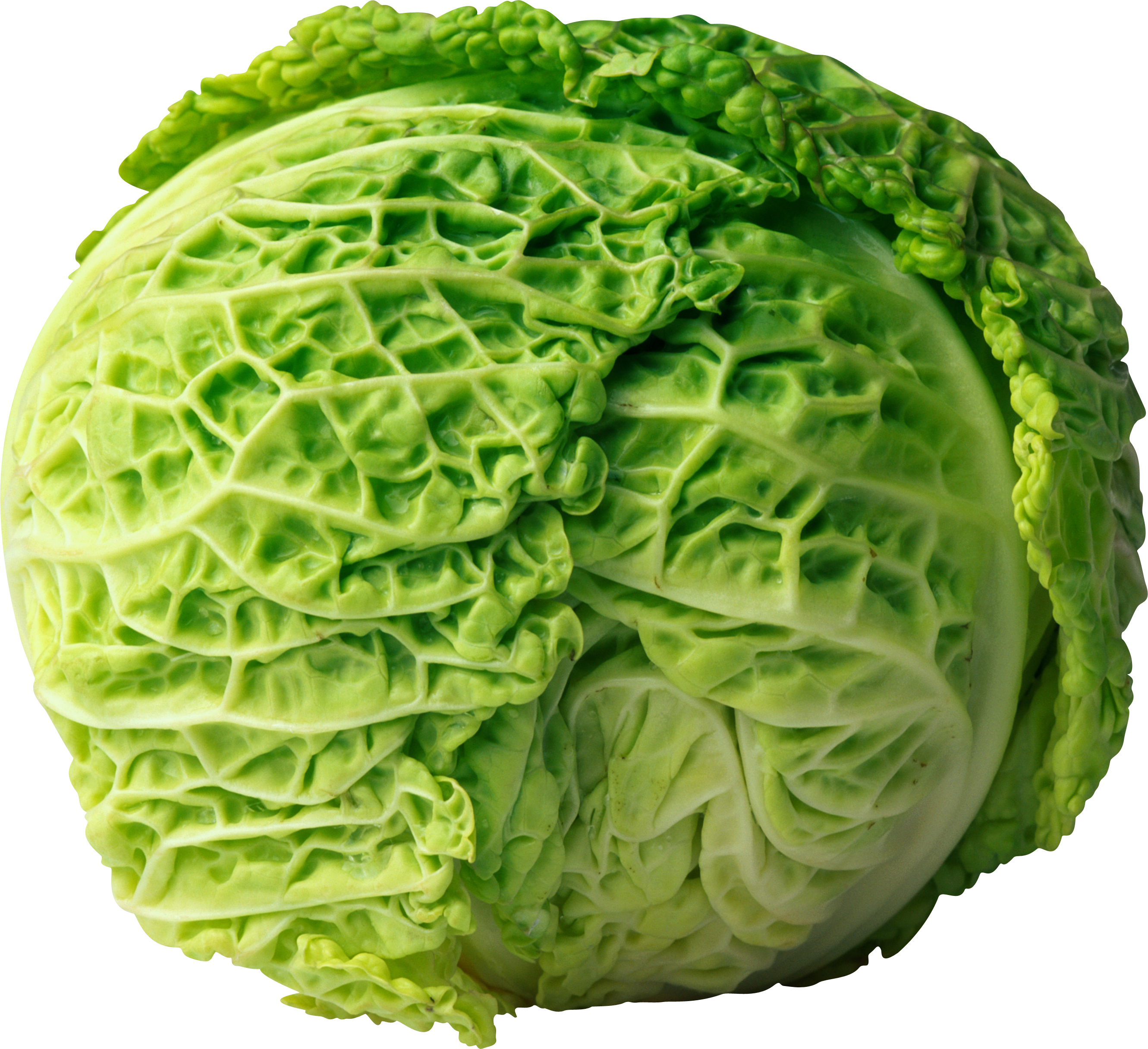 Cabbage Png Image - Cabbage Png, Transparent Png PNG with transparent background