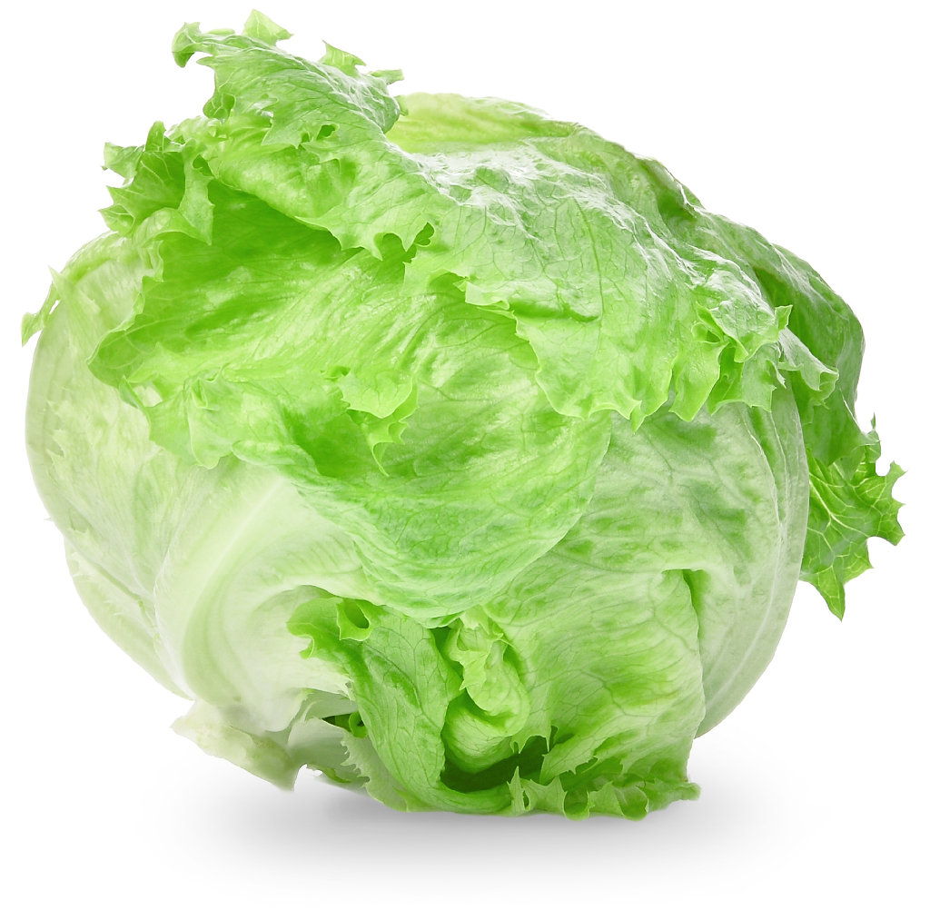 Fresh Green Lettuce Head.png