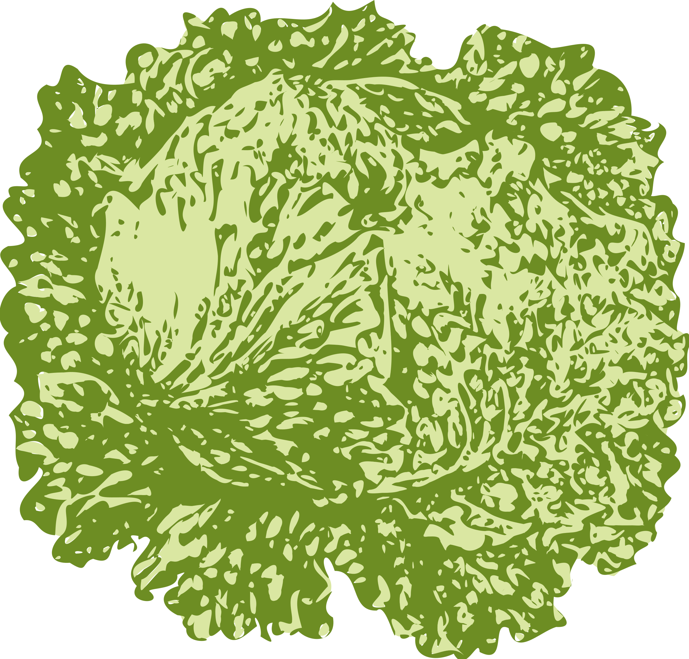 Lettuce Svg Clip Arts - Slice Of Lettuce, HD Png Download PNG with transparent background