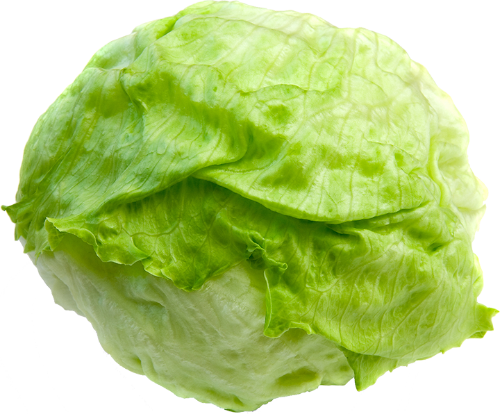 Lettuce Clipart Lettuce Slice - Head Of Lettuce Transparent Background, HD Png Download PNG with transparent background
