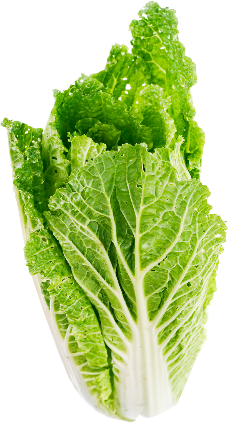 Leaf Png Free Images - Transparent Background Lettuce Png, Png Download PNG with transparent background