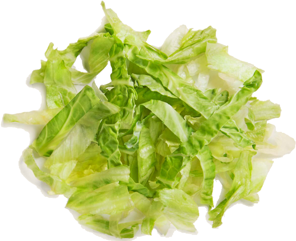 Fresh Green Lettuce Leaves