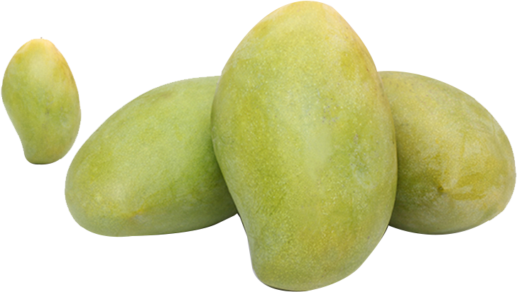 Fresh Green Mangoes Cluster PNG with transparent background