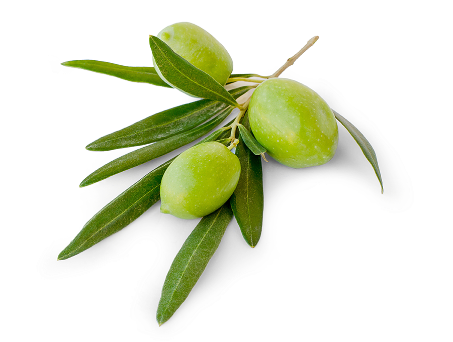 Transparent Olive Png - Olive, Png Download PNG with transparent background
