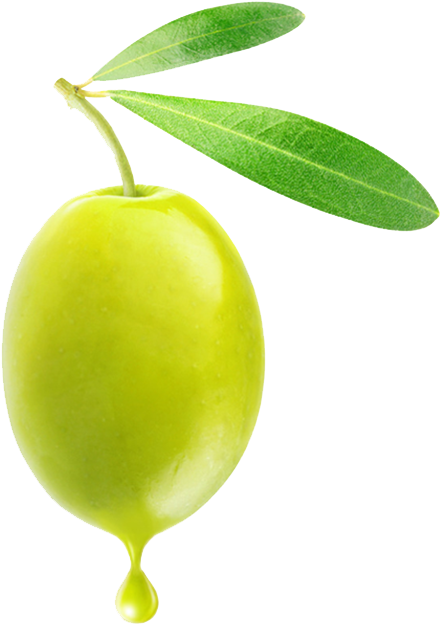 Olive Png, Transparent Png PNG with transparent background