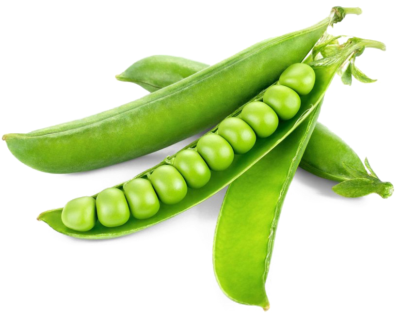 Fresh Green Peas Pods