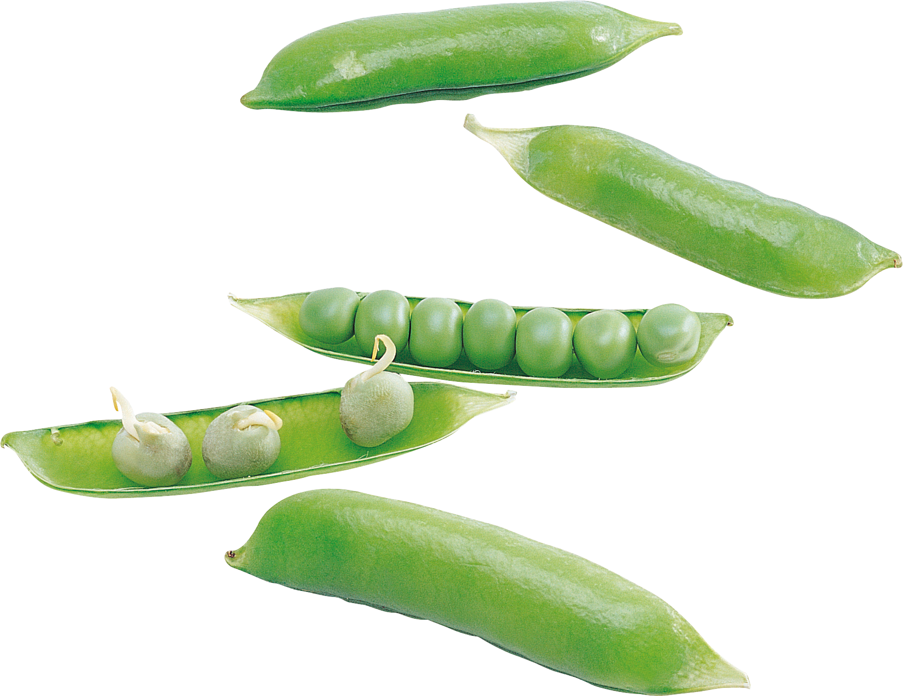 Fresh Green Peas Pods Transparent Background