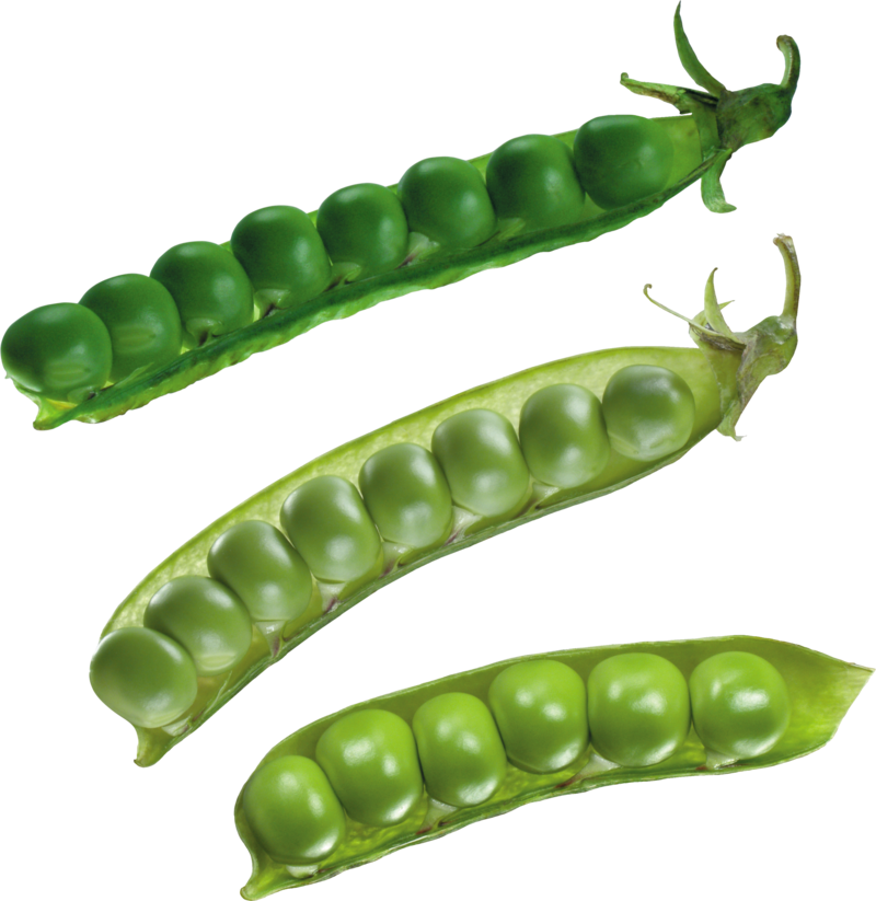 Fresh Green Peas Pods Transparent Background