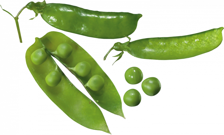 Fresh Green Peas Pods