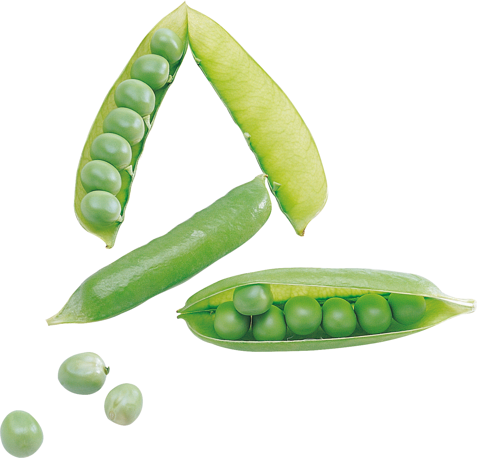 Fresh Green Peas Pods