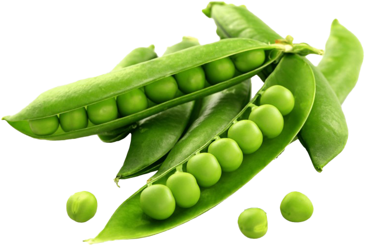 Fresh Green Peasin Pods