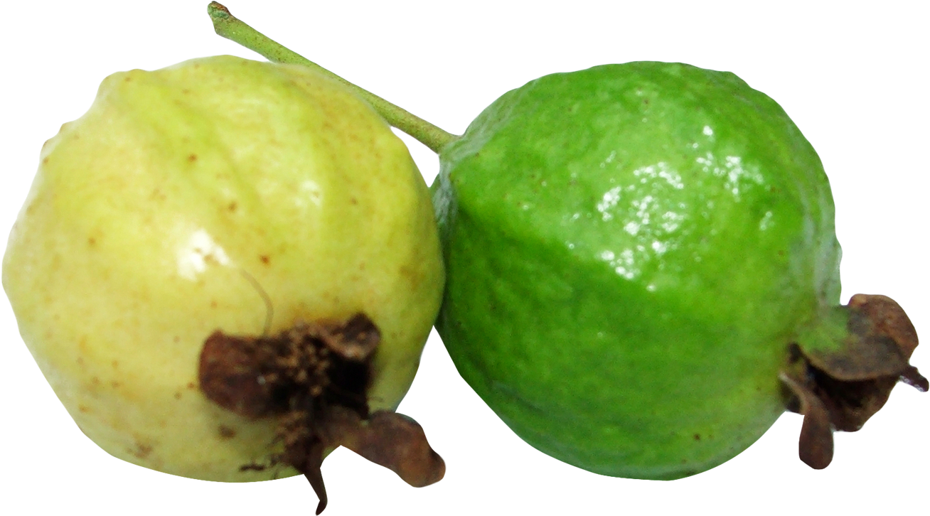 Fresh Greenand Yellow Guavas