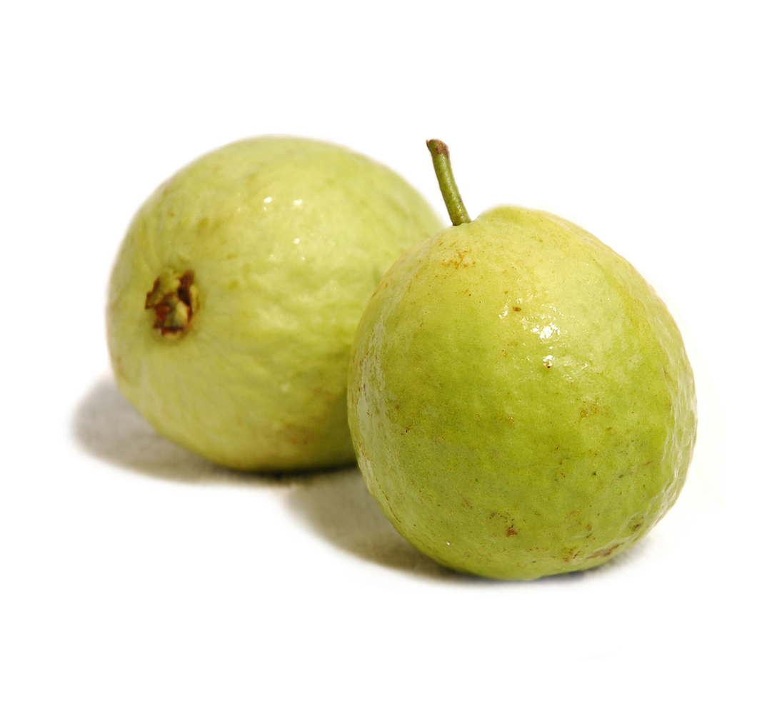 Fresh Guava Fruit Isolated