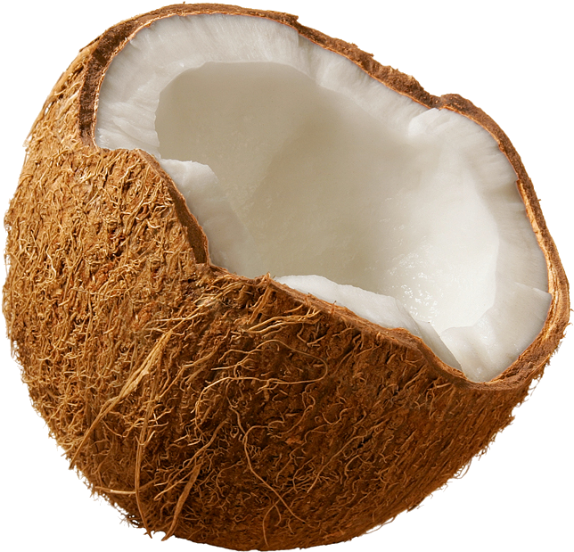 Fresh Half Coconut Transparent Background