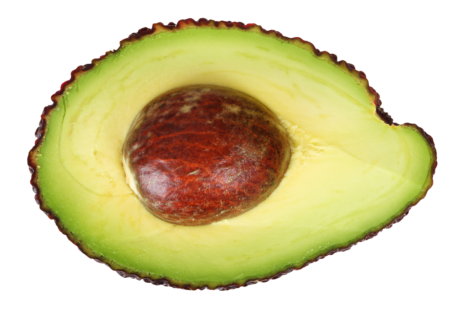 Fresh Halved Avocado With Pit PNG with transparent background