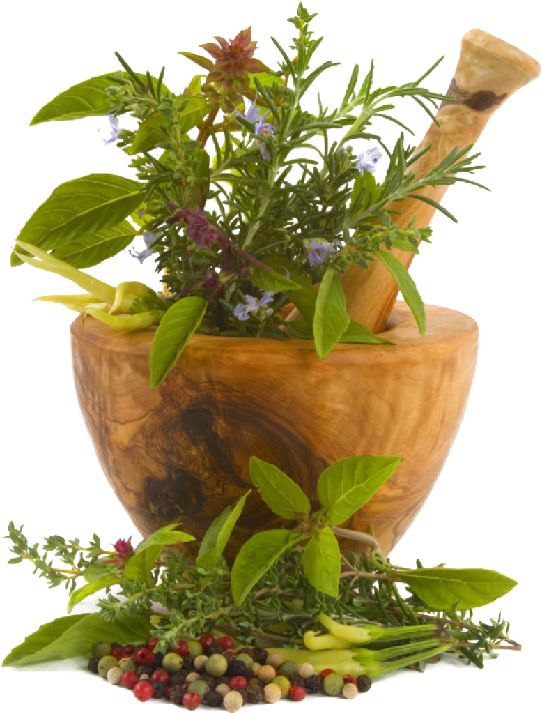 Chinese Herbs Png Image - Renuka Devi Herbal Oil, Transparent Png PNG with transparent background