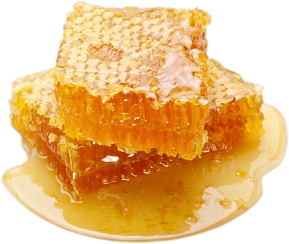 Raw Honeycomb - Honeycomb Korea, HD Png Download PNG with transparent background