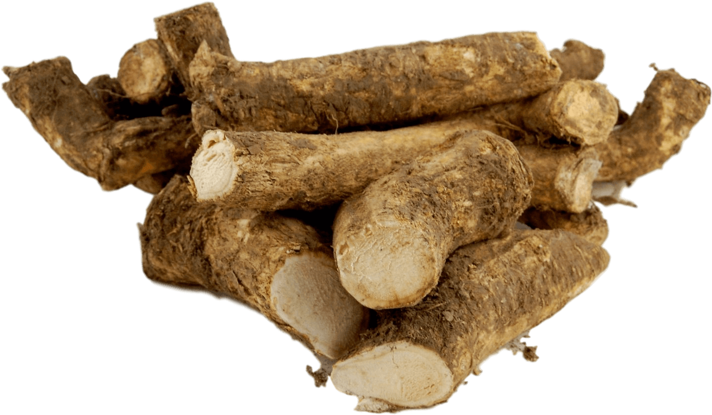 Fresh Horseradish Roots