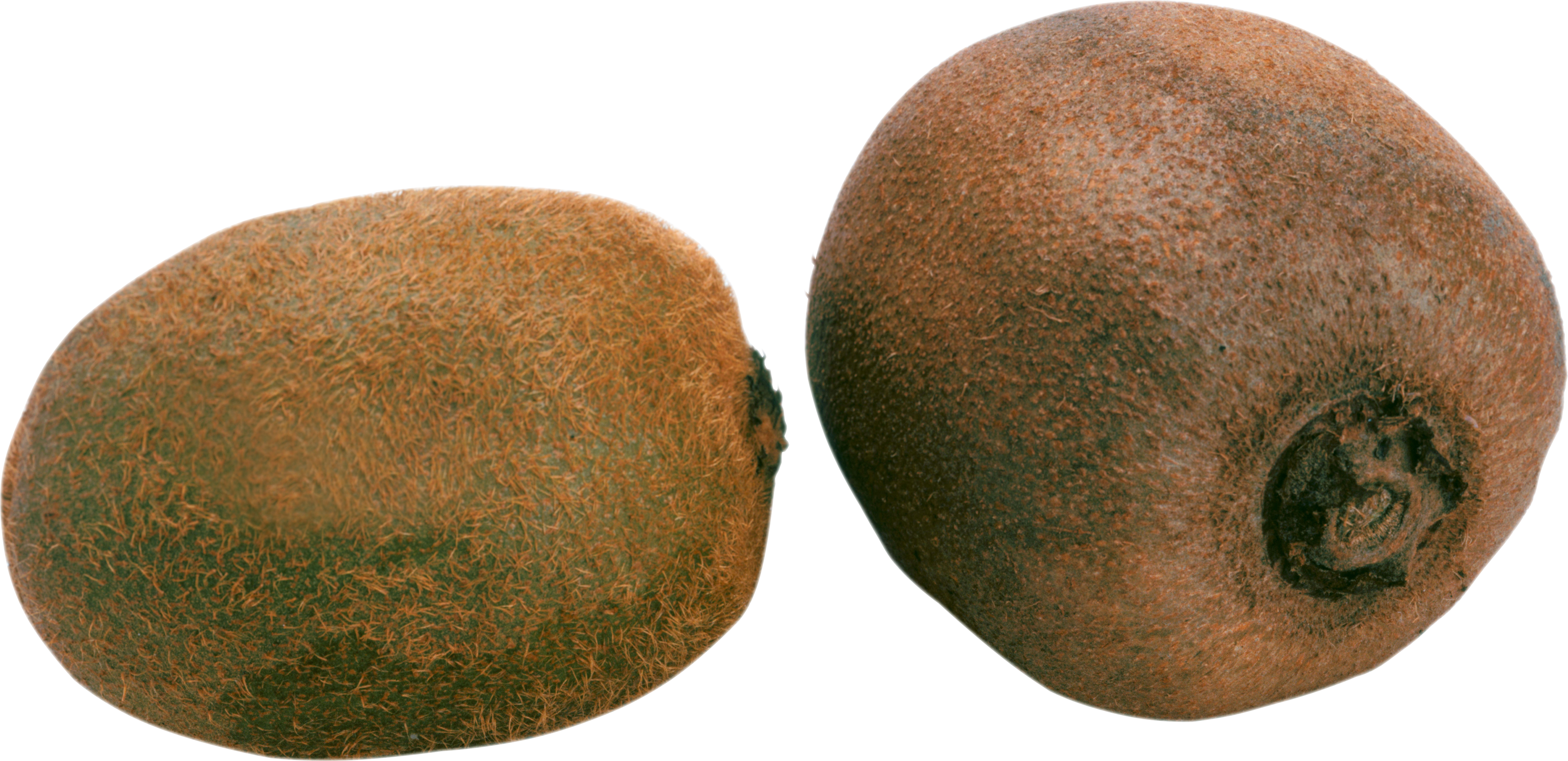 Download And Use Kiwi Png, Transparent Png PNG with transparent background