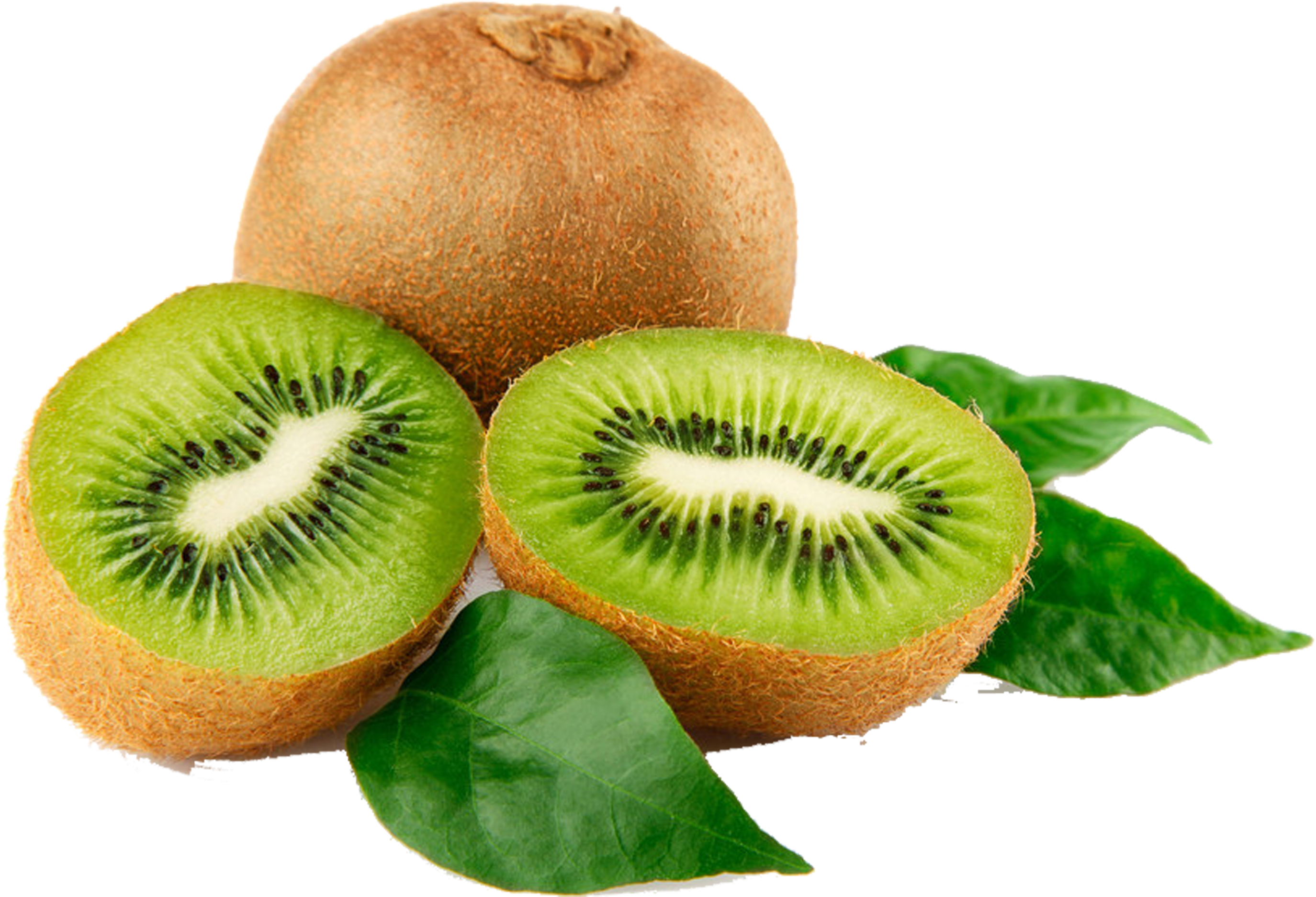 Fresh Kiwi Fruitand Slices