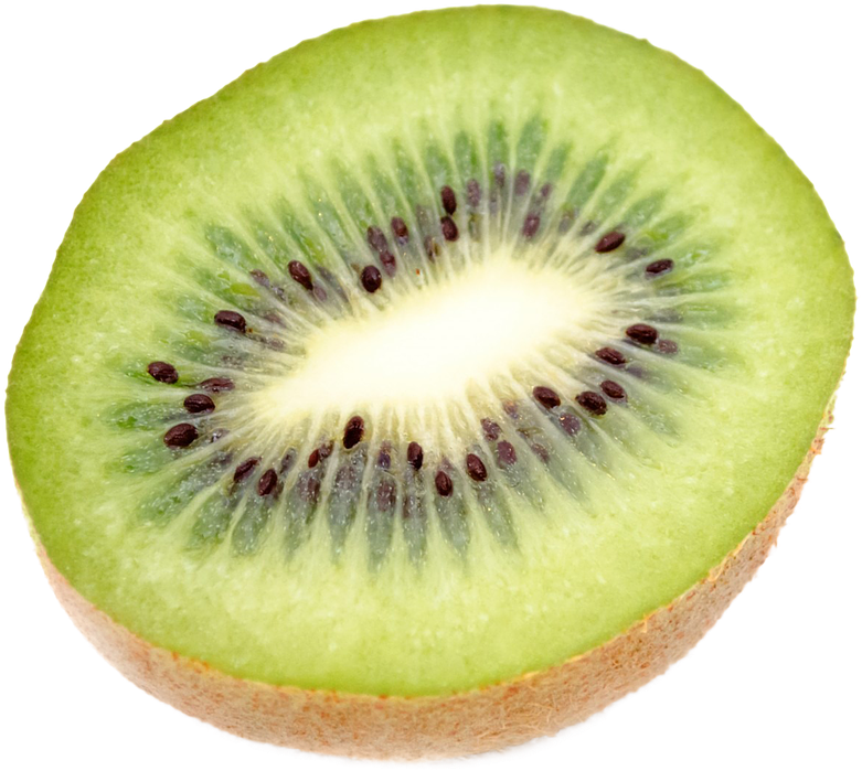 Fresh Kiwi Slice Closeup.png