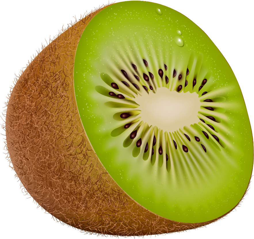 Kiwi Png Clipart - Kiwi Clipart Png, Transparent Png PNG with transparent background
