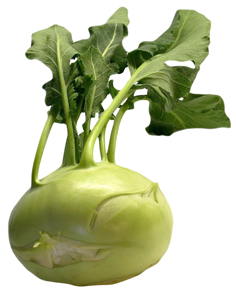 Fresh Kohlrabi Vegetable.png PNG with transparent background