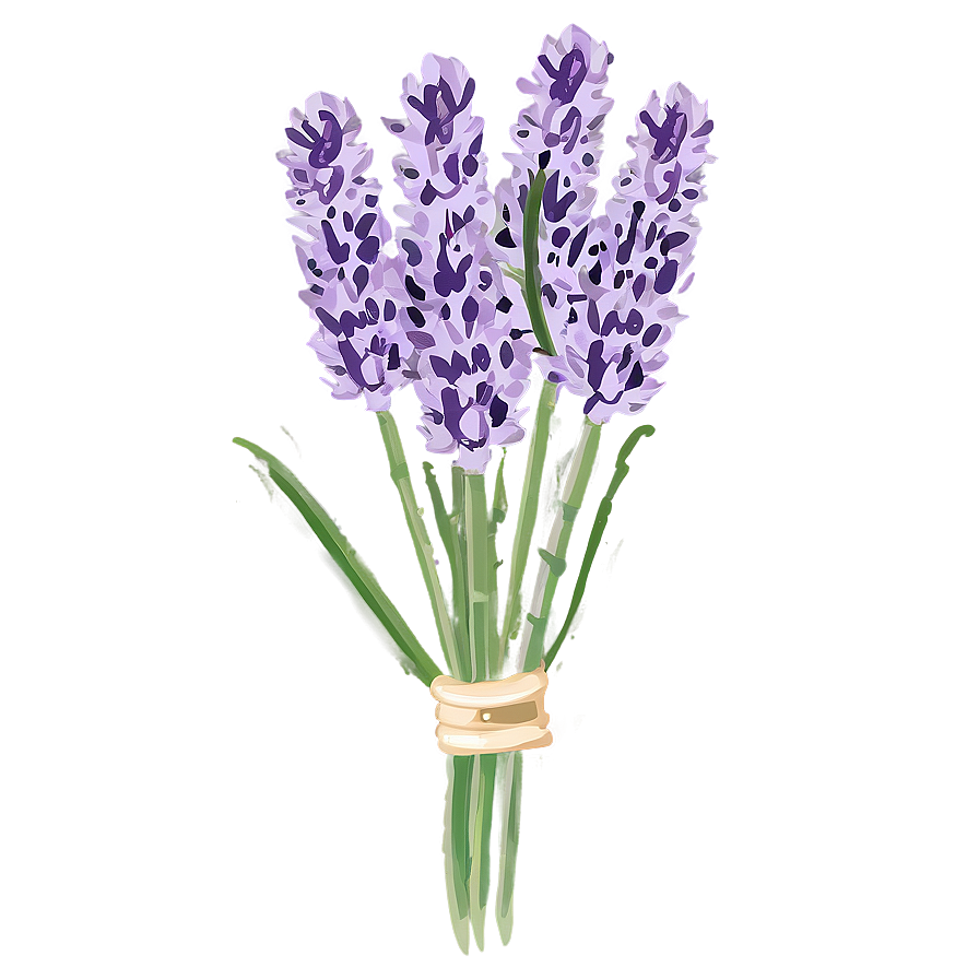 Fresh Lavender Bunch Png Muw8