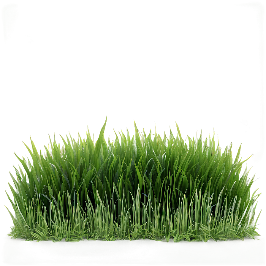 Fresh Lawn Grass Png 04292024