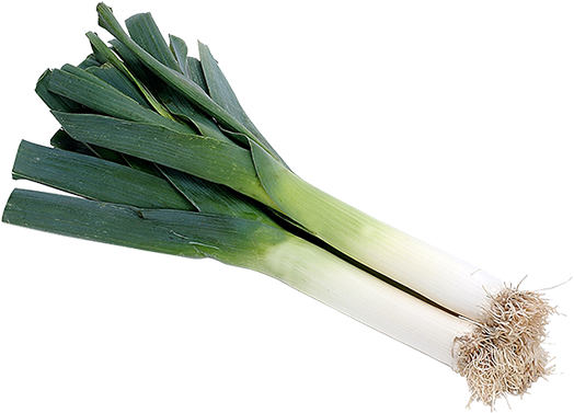 Fresh Leek Isolatedon White Background.png