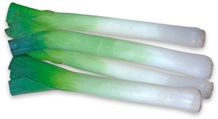 Fresh Leeks Isolatedon Background